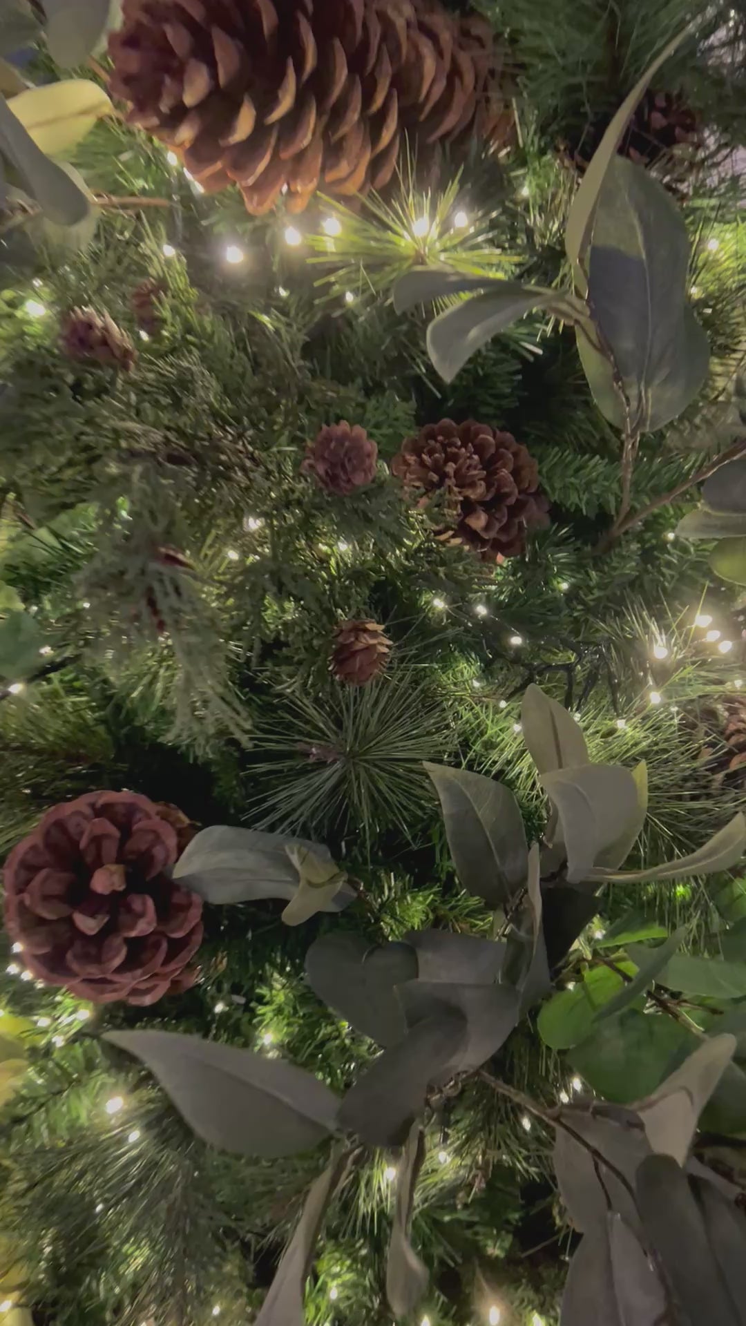 Twinkle Light Strand